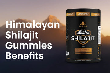 Himalayan Shilajit Gummies Benefits