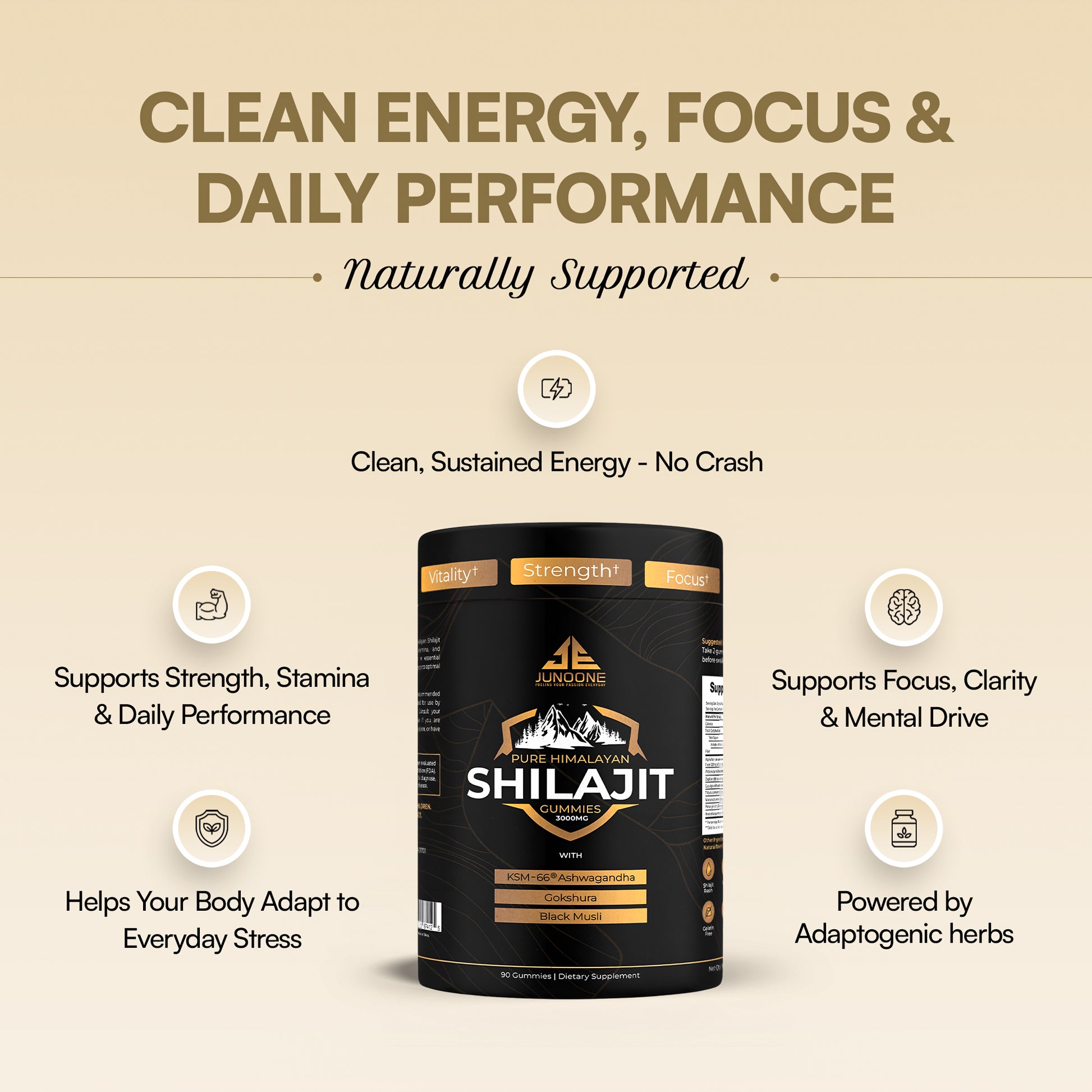 Pure Himalayan Shilajit Gummies 3000mg - Junoone